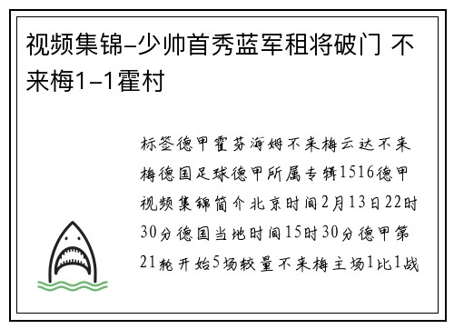 视频集锦-少帅首秀蓝军租将破门 不来梅1-1霍村